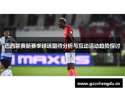 巴西联赛新赛季球迷期待分析与互动活动趋势探讨